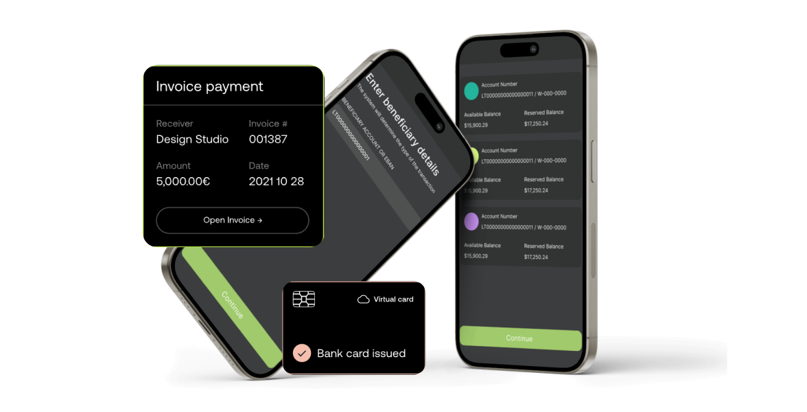 Banking-as-a-Service Provider — Kernolab